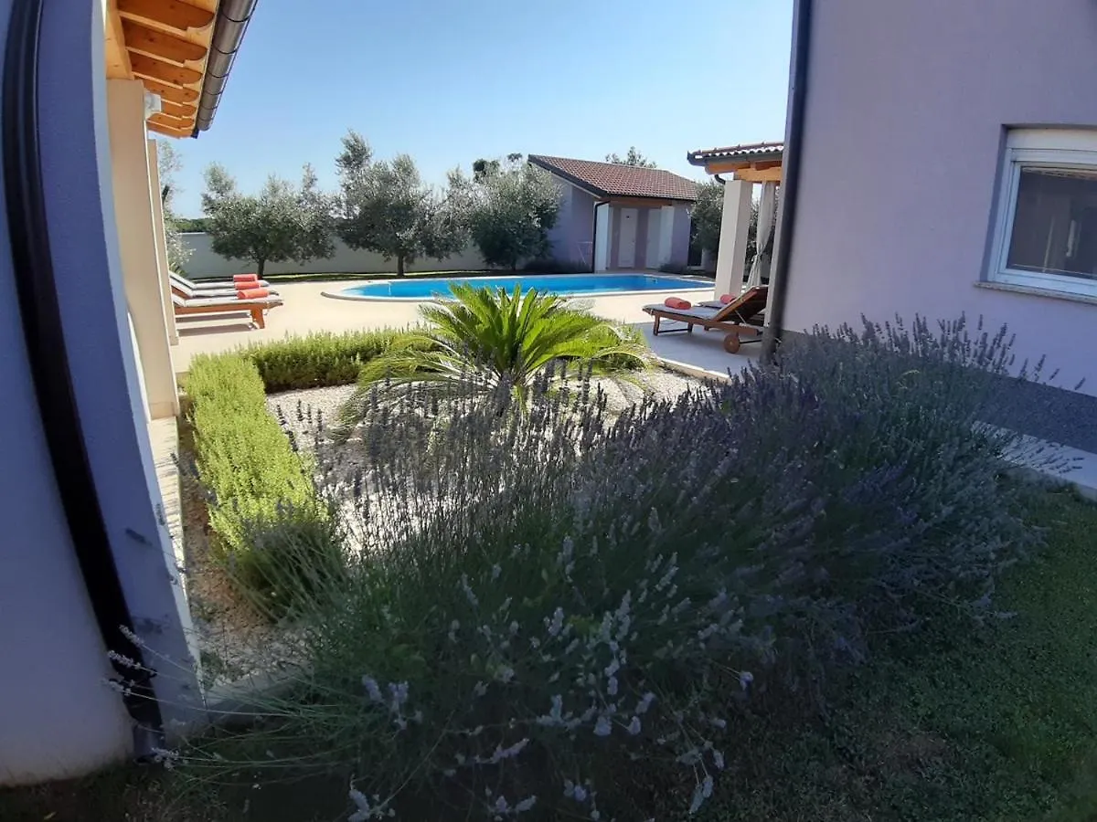 בית נופש פולה Villa Zeus קרואטיה